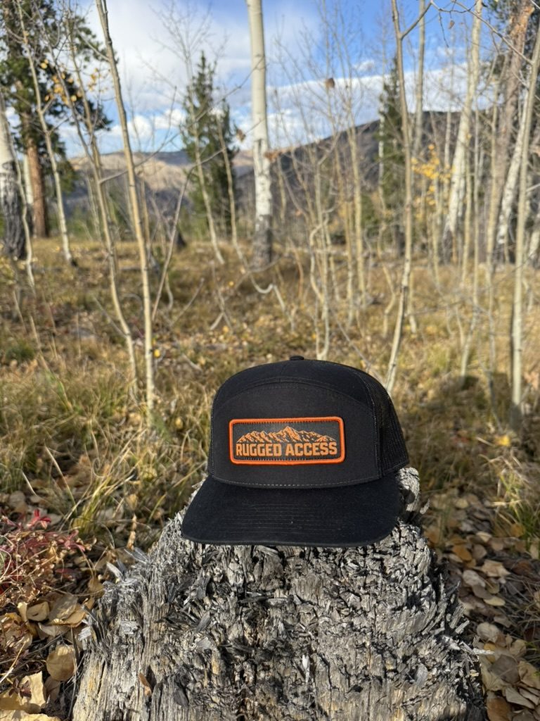 Black 7-panel hat on a weathered stump in an aspen grove.